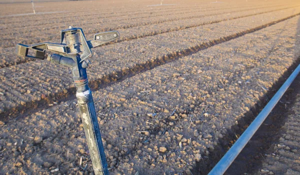 Крупный план разбрызгивателя воды на поле — стоковое фото