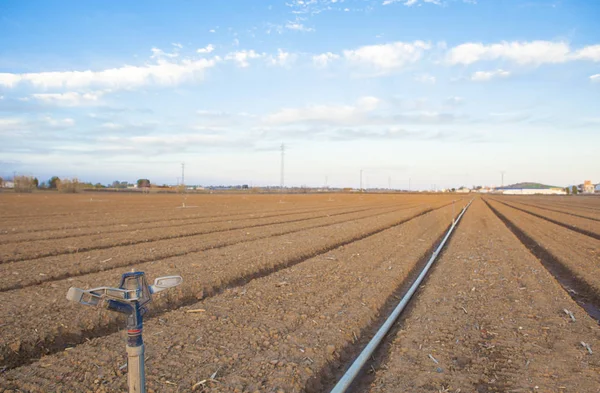 Primer plano de un aspersor de agua en el campo —  Fotos de Stock