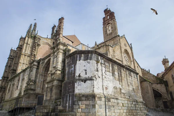 New and old cathedral at Plasencia — Stock Photo, Image