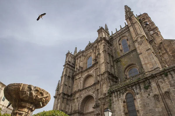 Nueva catedral Plasencia, Cáceres — Foto de Stock