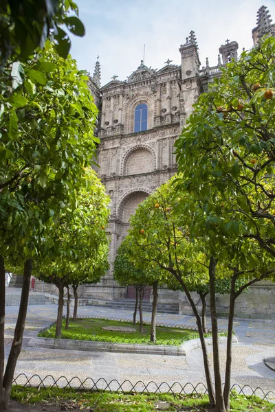 Catedral de Plasencia desde el jardín de naranjos, España — Foto de Stock