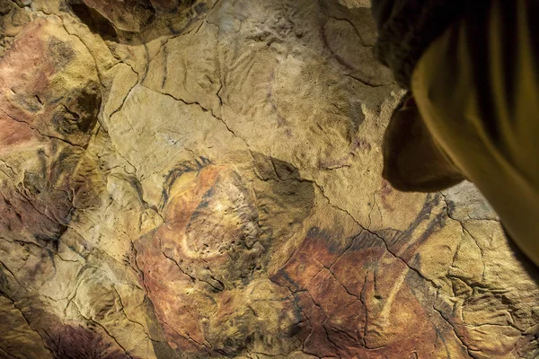 Visitor contemplates the Altamira replica cave at National Arche — Stock Photo, Image