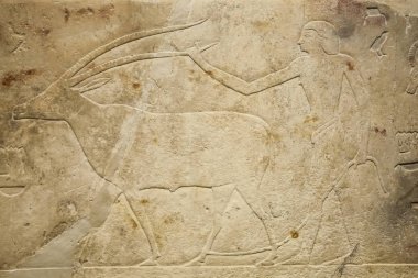 Kabartma hayvancılık sahne, Antik Mısır tasvir