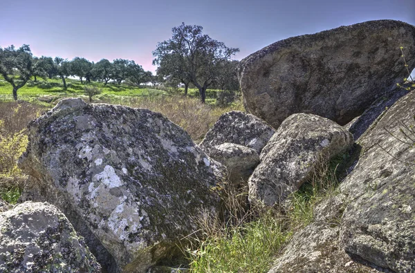 Berrocal von rugidero, extremadura, spanien — Stockfoto