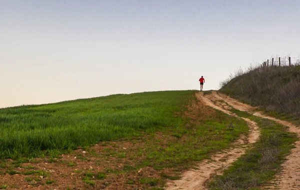 Человек бежит в гору по зеленому зерновому полю — стоковое фото
