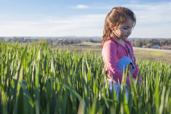 Niña y su muñeca caminando por el campo de cereales verde en s — Foto de Stock