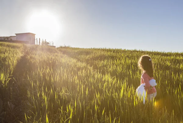 Niña y su muñeca caminando al sol a través de cereales verdes — Foto de Stock