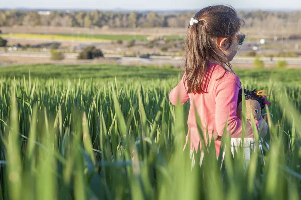 Niña y su muñeca caminando por el campo de cereales verde en s — Foto de Stock