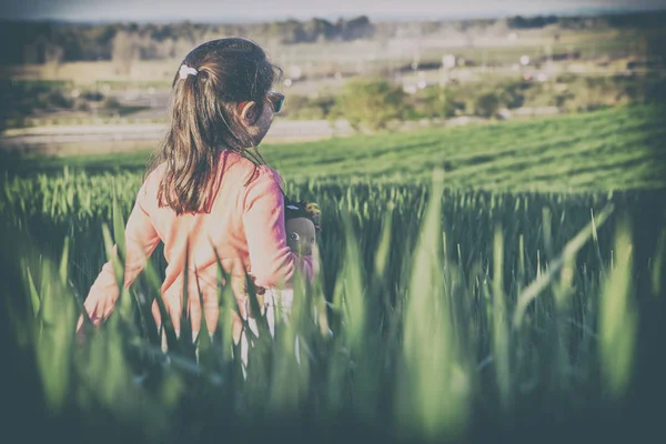 Menina e sua boneca andando através do campo de cereais verde em s — Fotografia de Stock