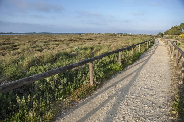 Piedras river marshlands footpath — Stock Photo, Image