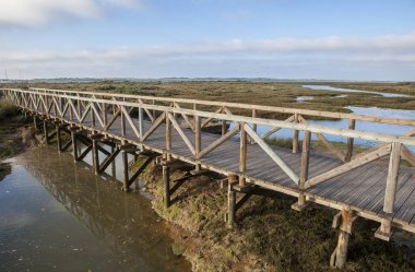 Piedras nehir koruluklar patika