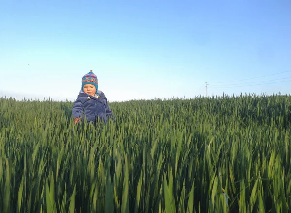 Bebé disfrutando de una tarde soleada en el campo de cereales verde en el — Foto de Stock