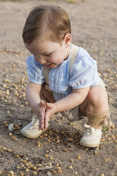 Kleiner Junge spielt mit umgefallenen Samen auf Parkgelände — Stockfoto