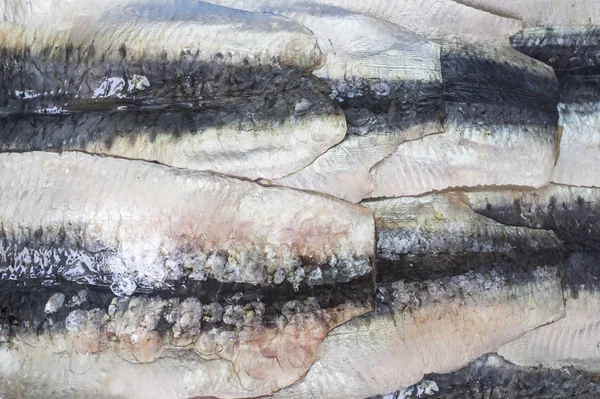 Filetes de sardinha do Nordeste do Atlântico, Espanha — Fotografia de Stock