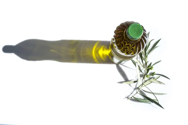 Оливковое масло в бутылках с молодой оливковой ветвью — стоковое фото