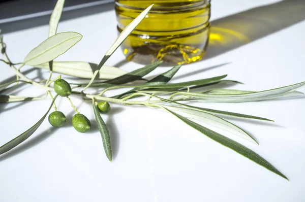 Aceite de oliva embotellado con rama de aceitunas jóvenes — Foto de Stock