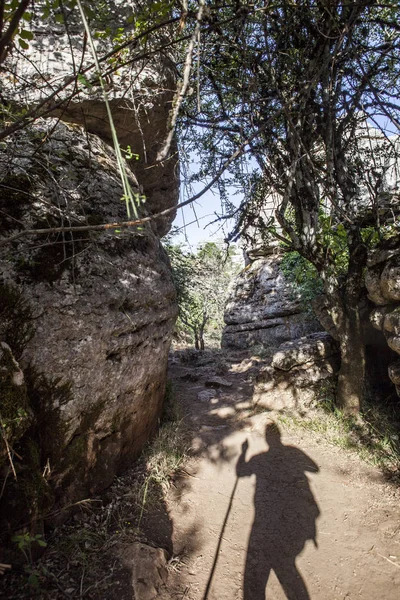 Torcal 자연 공원 산책로, 스페인으로 걷는 trekker 그림자 — 스톡 사진