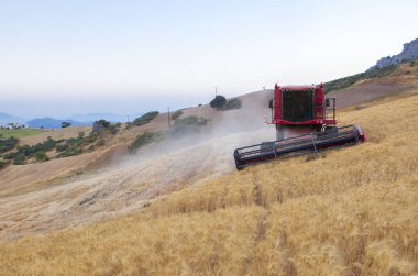 Eğimli üzerinde çalışma hasat birleştirmek zemin, İspanya