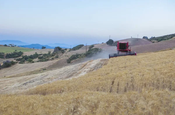 Combineren van harvester werken op hellende grond, Spanje — Stockfoto