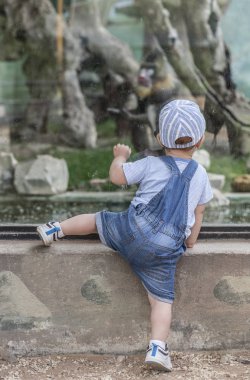 Erkek bebek maymun kafesi yaklaşıyor