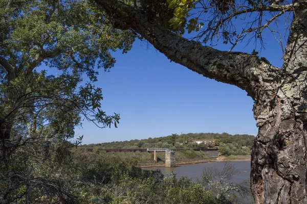 Presa del Embalse de Cornalvo procedente del bosque, Extremadura, España —  Fotos de Stock