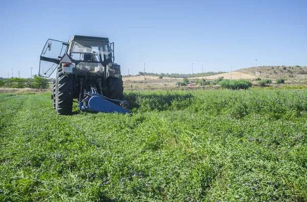 Trator de corte e swathing alfafa — Fotografia de Stock