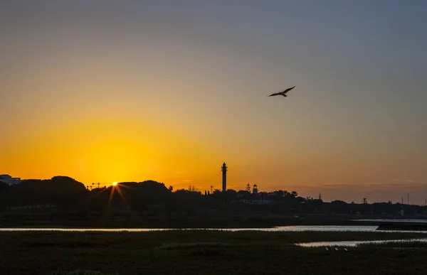 El rompido Leuchtturm und Yachthafen bei Sonnenaufgang aus dem Marschland — Stockfoto