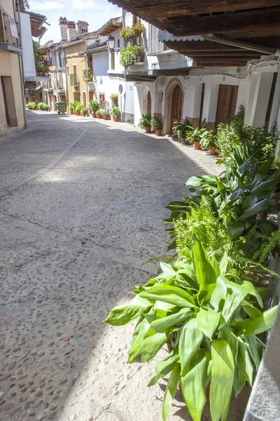 Guadalupe old town porticoed houses. Caceres, Spain — Stock Photo, Image