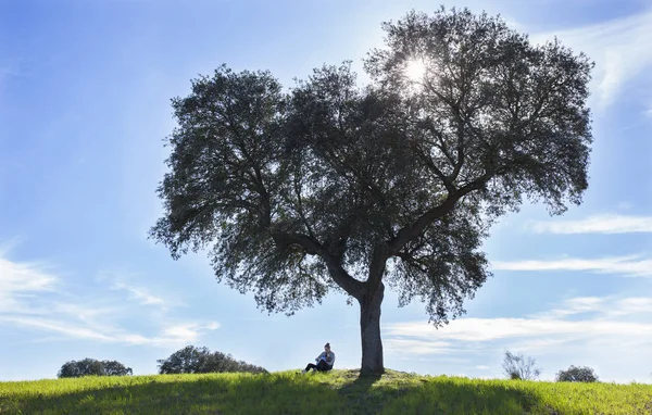 Mãe amamentação criança menino na natureza — Fotografia de Stock