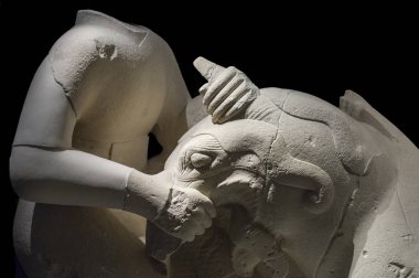 Griphomaquia, calcarenite sculptore grubu
