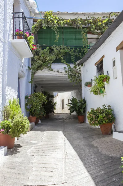 Traditional alley called tinao. Capileira town. Alpujarras, Gran — Stock Photo, Image