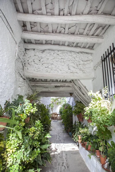 Traditionella alley kallas katarinasweb. Capileira stad. Alpujarras, Gran — Stockfoto
