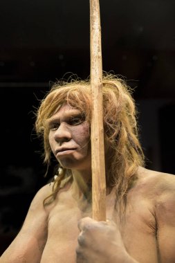 Life-sized sculpture of Neanderthal female clipart