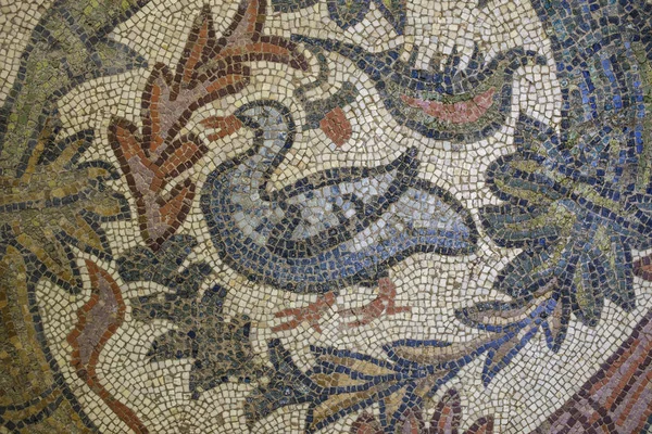 Orpheus mosaic fragment with goose — Stock Photo, Image