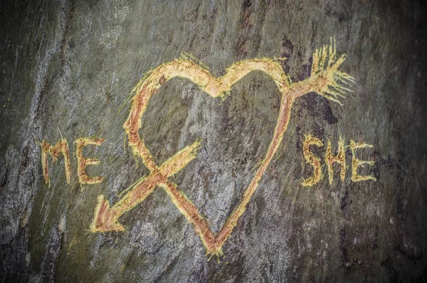 Birke mit geschnitztem Herz, gekreuzt von einem Liebespfeil — Stockfoto