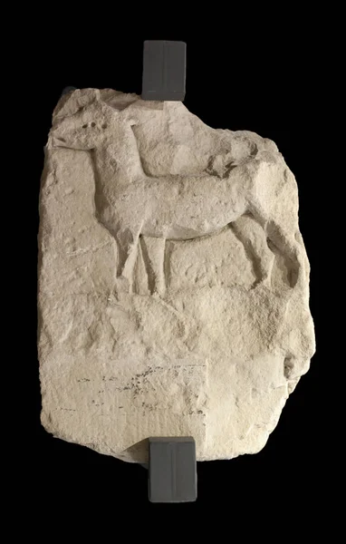 High relief depicting a deer. First of Iberian Culture artistic — Stock Photo, Image