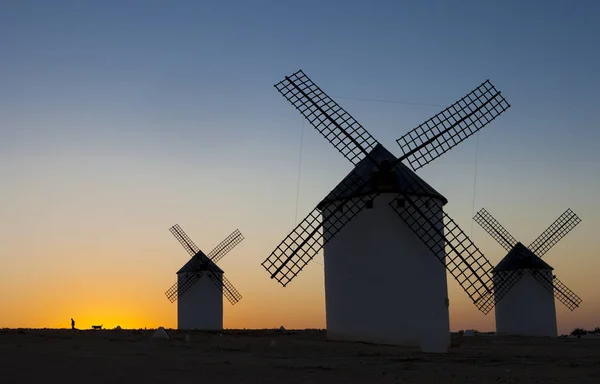 Man Walking Dog Rising Campo Criptana Windmills Site Spain — Stock Photo, Image