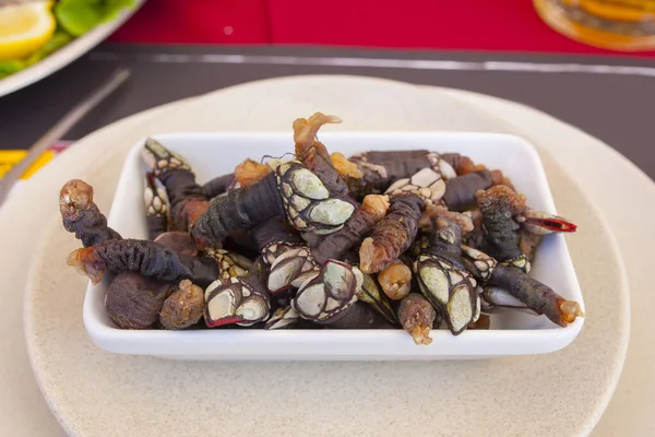 Schwanenhals Seepocken Platte bei portugiesischen Meeresfrüchten Mahlzeit oder mar — Stockfoto