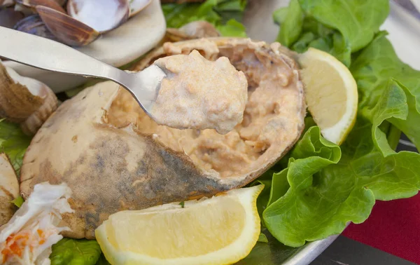 Portugiesische braune gefüllte Krabbe oder Sapateira recheada — Stockfoto