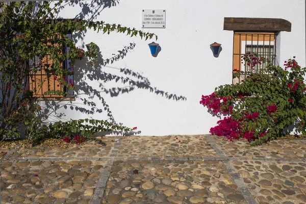Fuente palmera weiß getünchte Wände und Fenster voller Blumen, co — Stockfoto