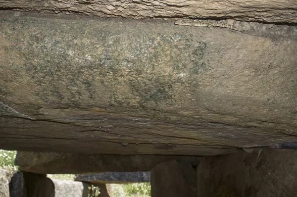 Hagedis onder sluitsteen van Dolmen van Lacara, Extremadura. Spanje — Stockfoto