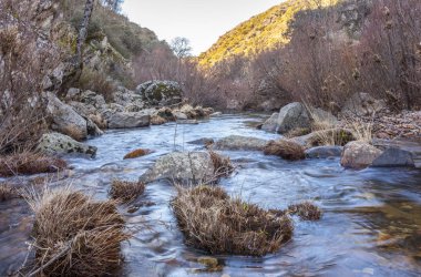 Estena Nehri kışın akıyor. Cabaneros Ulusal Parkı, Spai
