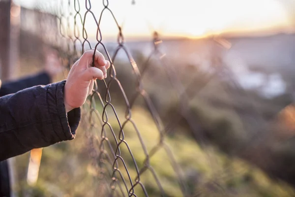 Grabben håller händerna på stängslet vid solnedgången. — Stockfoto