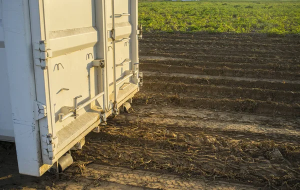 Contenitore per caricatore skip roll-off presso il campo di patate — Foto Stock