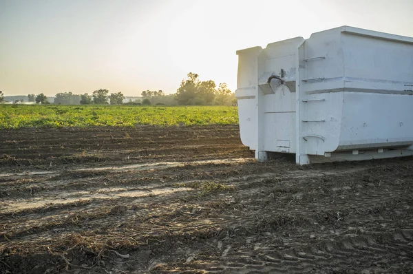 Wadah untuk roll-off skip loader di ladang kentang — Stok Foto