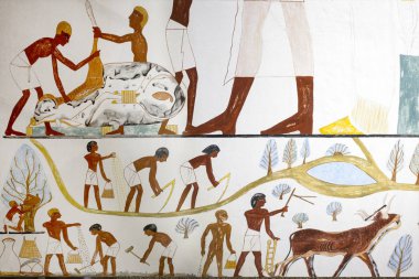 Yazıcı Nakht 'ın mezarı. Tarım sahnesi