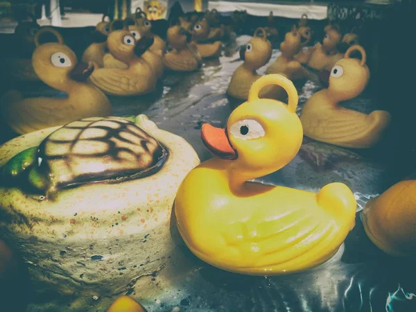 Fairground Hook-a-Duck stall — Stock Photo, Image