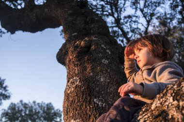 Küçük çocuk günbatımını izleyen bir meşe ağacına tırmandı.