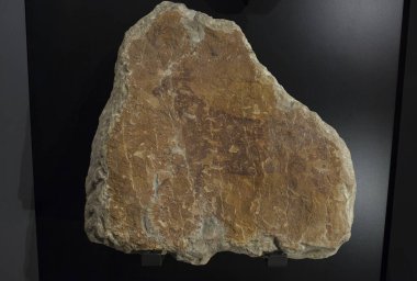 Barcelona, İspanya - 27 Aralık 2019 Los Moros Kayası 'nın geyik yürüyüşü, Teruel, İspanya. Katalan Arkeoloji Müzesi, Barselona, İspanya