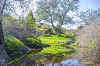 River Muelas durgun suları Rugidero 'ya yakın, Cornalvo Doğal Parkı, Extremadura, İspanya
